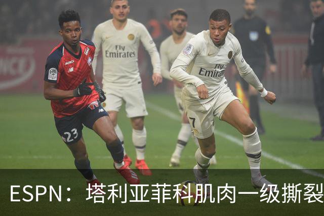 ESPN：塔利亚菲科肌肉一级撕裂，至少缺席世界杯前两场小组赛